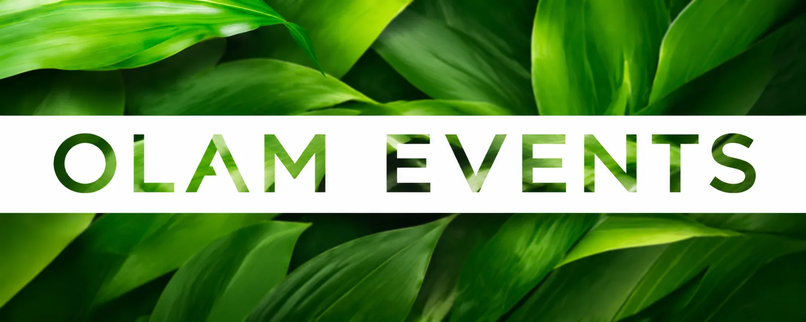 Olam Events cover